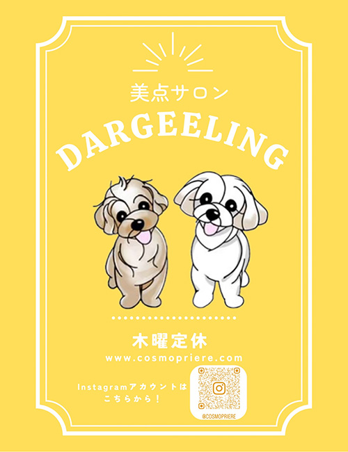https://biten-school.rey.co.jp/wp-content/uploads/2024/09/cosmo_006.jpg