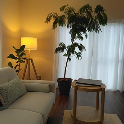 enn_image_02 https://biten-school.rey.co.jp/wp-content/uploads/2024/09/enn_image_02.jpg
